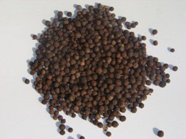Jamaican Organic Pimento Seeds All-Spice