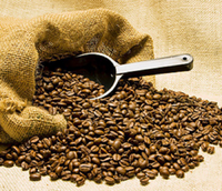 Jamaican Blue Mountain Coffee, Best 100% Organic Roasted Whole Beans